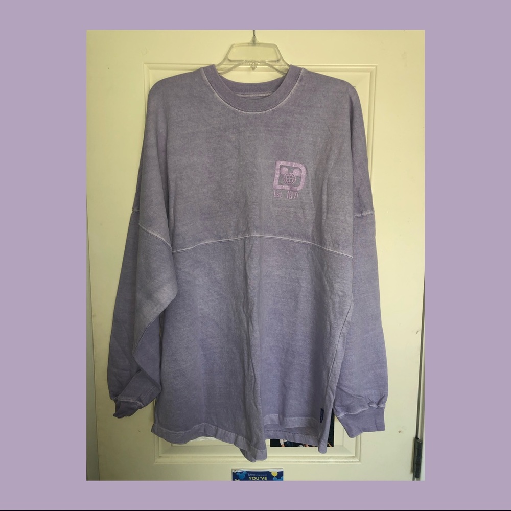 Walt Disney World Spirit Jersey